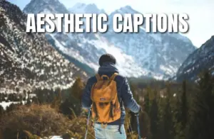 Aesthetic Captions