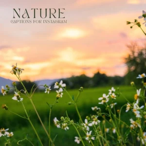 Nature Captions