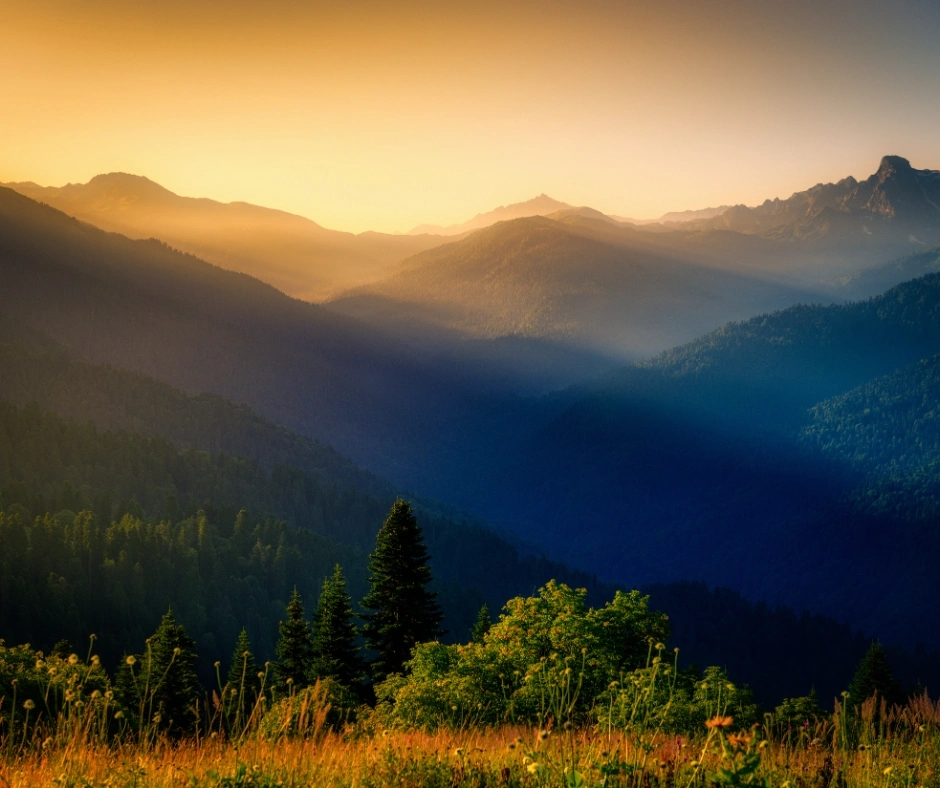 Nature Captions