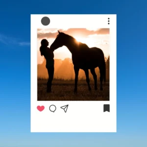 Horse Captions for Instagram
