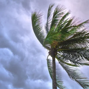 Hurricane Quotes