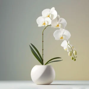 Aesthetic Flower Captions for Instagram